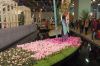 Gruene-Woche-in-Berlin-Rundgang-2016-160123-DSC_0313.jpg